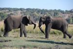 Namibia -859