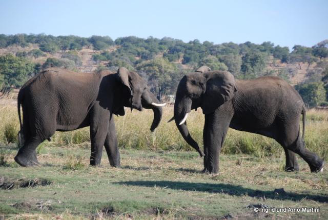 Namibia -859